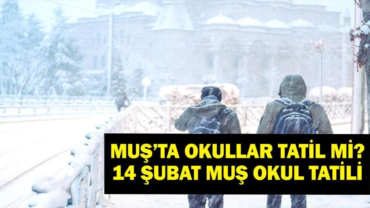 MUŞ’TA OKULLAR TATİL: 14 Şubat Yarın Okullar Tatil mi 2025 Muş? Muş Valiliği son dakika açıklaması